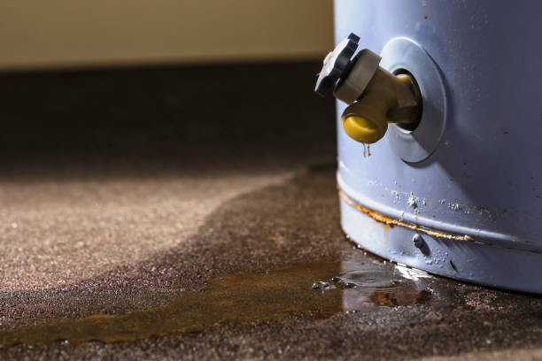 Best 24/7 water damage repair  in Willmsburg, IA