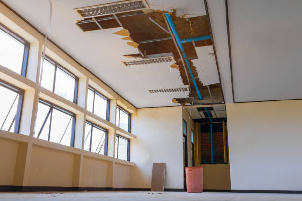 Best Professional water damage repair  in Willmsburg, IA