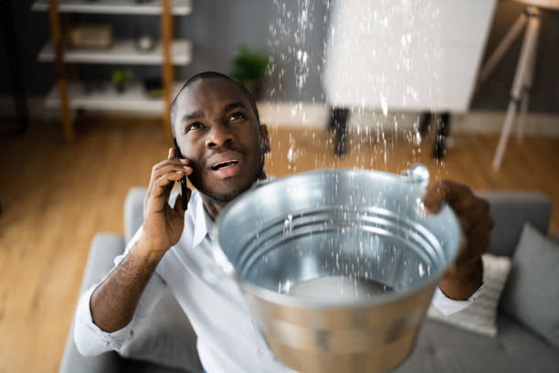 Best Water damage contractors near me  in Willmsburg, IA