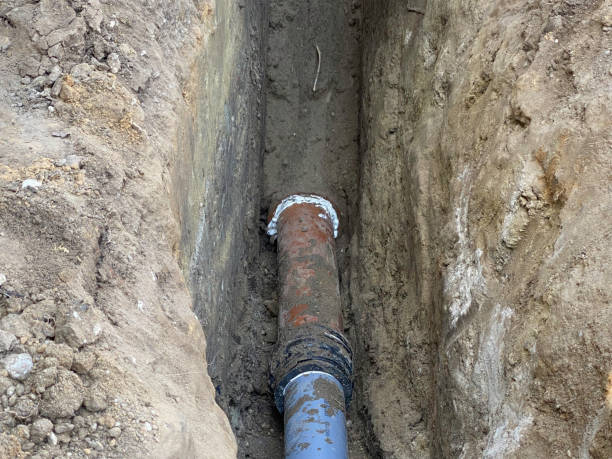 Best Flood damage cleanup  in Willmsburg, IA