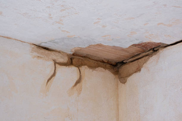 Best Mold removal after water damage  in Willmsburg, IA