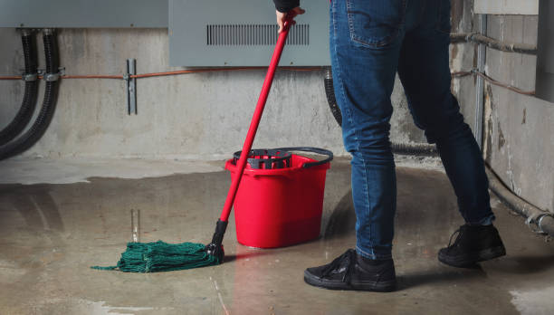 Best Water damage restoration mold remediation  in Willmsburg, IA
