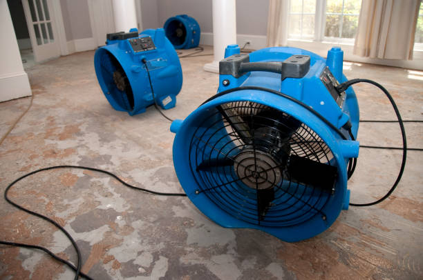 Best Water damage restoration near me  in Willmsburg, IA