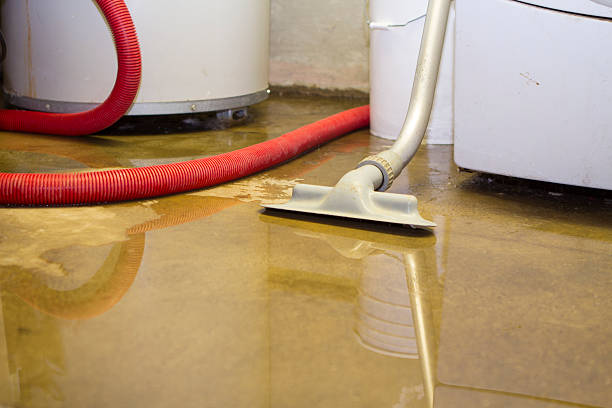 Best Flooded house restoration  in Willmsburg, IA
