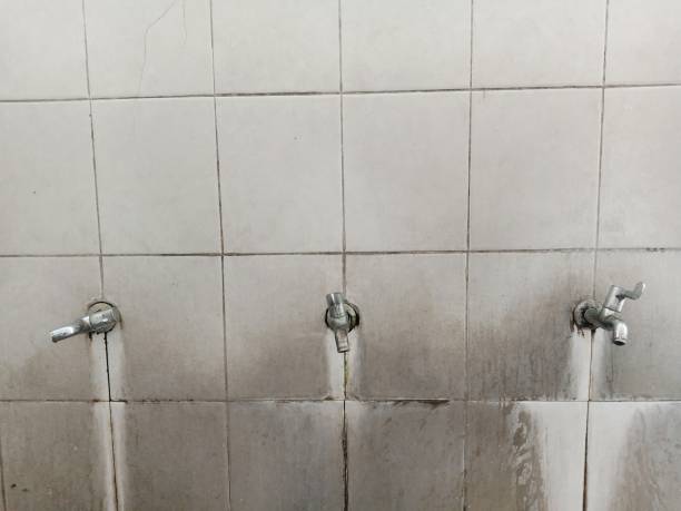 Best 24-hour water damage restoration  in Willmsburg, IA