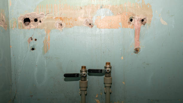 Best Water damage restoration insurance claims  in Willmsburg, IA
