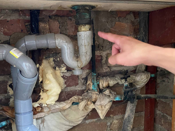 Best Local water damage restoration  in Willmsburg, IA