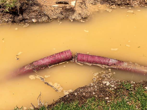 Best Water damage restoration services  in Willmsburg, IA